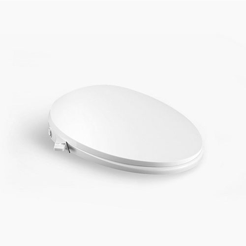 NẮP BỒN CẦU C3